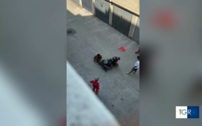Morto a Bologna durante un intervento di Polizia, Tgr Rai non trasmette il servizio. La protesta del sindacato